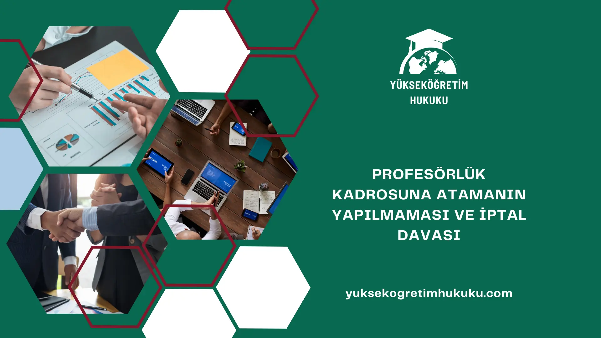 PROFESÖRLÜK KADROSUNA ATAMANIN YAPILMAMASI VE PROFESÖRLÜK KADROSUNA İPTAL DAVASI